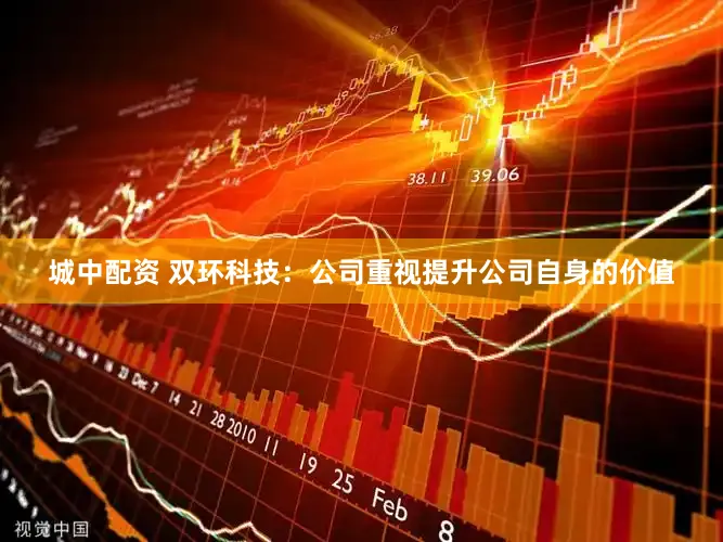 城中配资 双环科技：公司重视提升公司自身的价值
