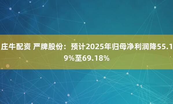 庄牛配资 严牌股份：预计2025年归母净利润降55.19%至69.18%