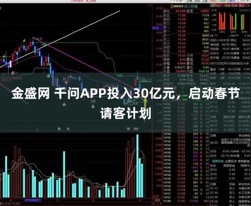 金盛网 千问APP投入30亿元，启动春节请客计划