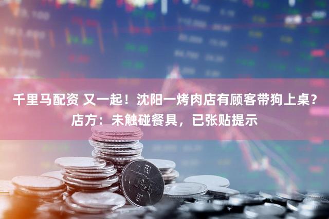 千里马配资 又一起！沈阳一烤肉店有顾客带狗上桌？店方：未触碰餐具，已张贴提示