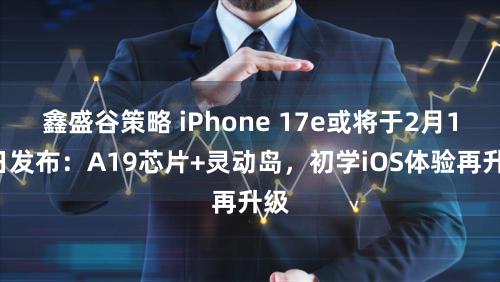 鑫盛谷策略 iPhone 17e或将于2月19日发布：A19芯片+灵动岛，初学iOS体验再升级