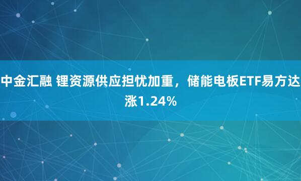 中金汇融 锂资源供应担忧加重，储能电板ETF易方达涨1.24%