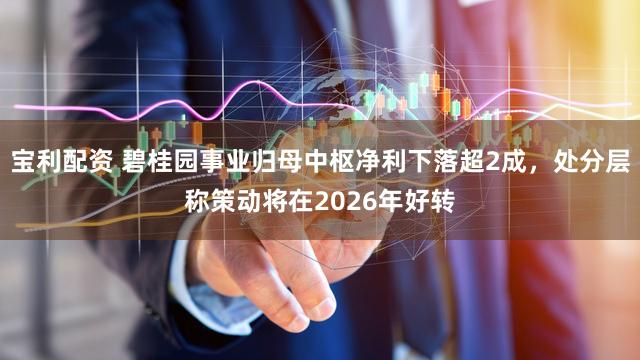 宝利配资 碧桂园事业归母中枢净利下落超2成,处分层称策动将在2026年好转