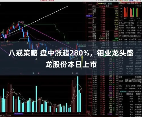 八戒策略 盘中涨超280%,钼业龙头盛龙股份本日上市