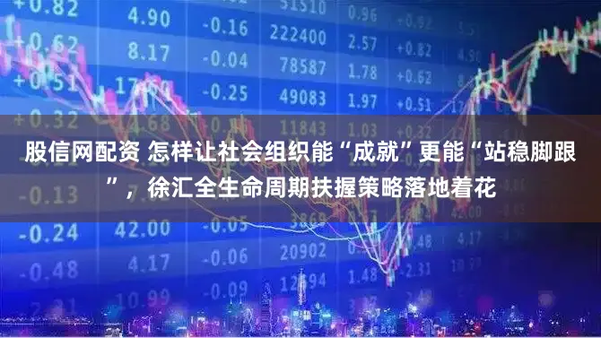 股信网配资 怎样让社会组织能“成就”更能“站稳脚跟”，徐汇全生命周期扶握策略落地着花