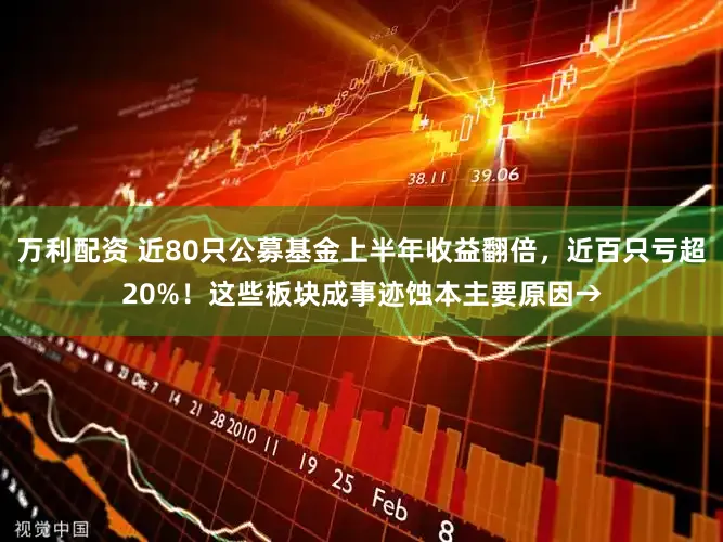 万利配资 近80只公募基金上半年收益翻倍,近百只亏超20%!这些板块成事迹蚀本主要原因→